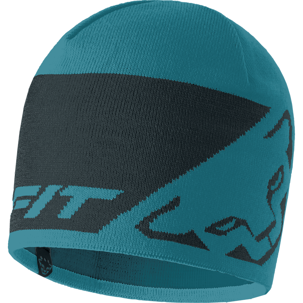 Dynafit Leopard Logo Mütze - sturmblau